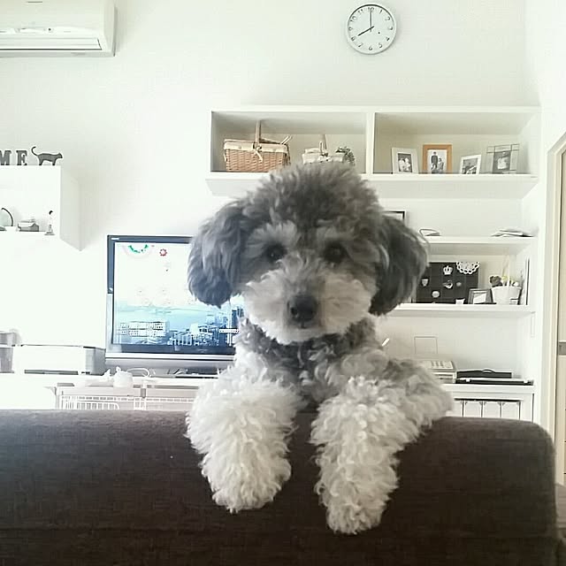 comasさんの実例写真