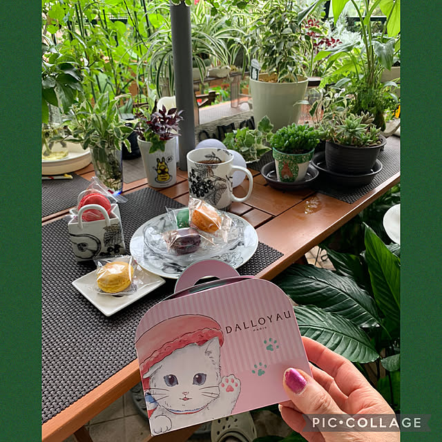Aqettyさんの部屋