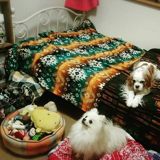 yukaさんの実例写真