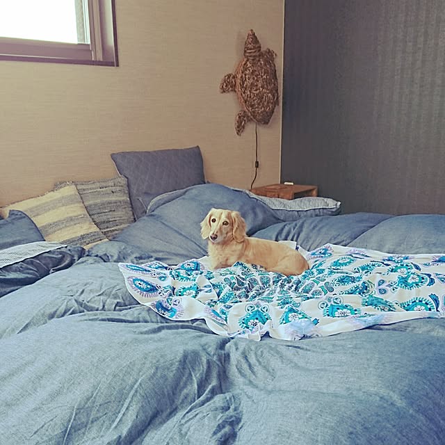 cocosorasakuさんの実例写真