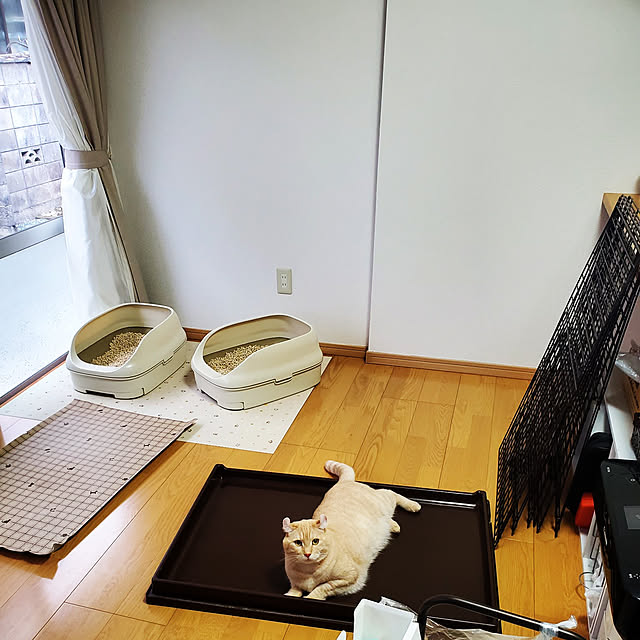 makoさんの実例写真