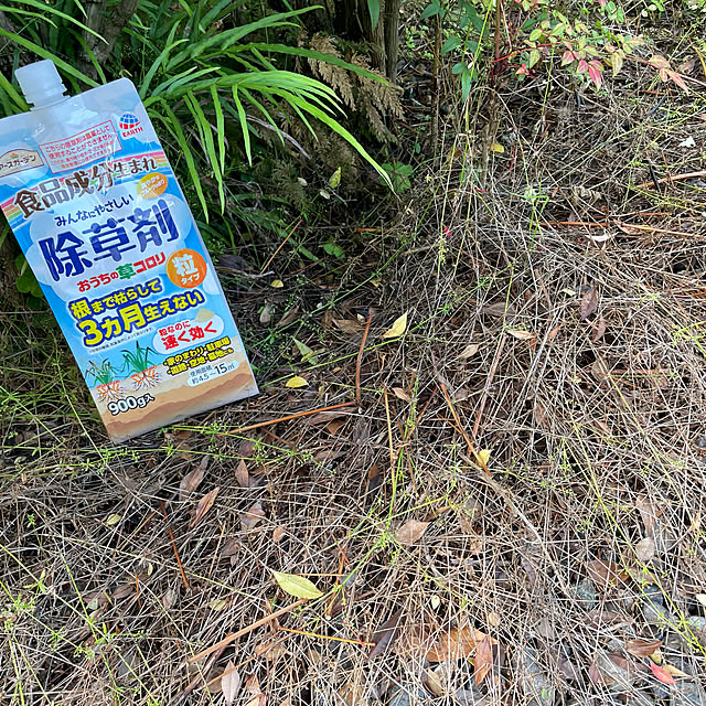 burubonさんの実例写真