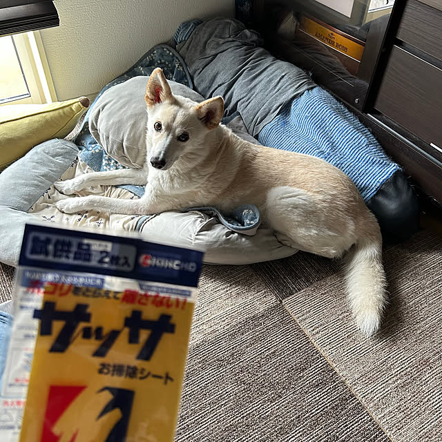 tanboさんの部屋