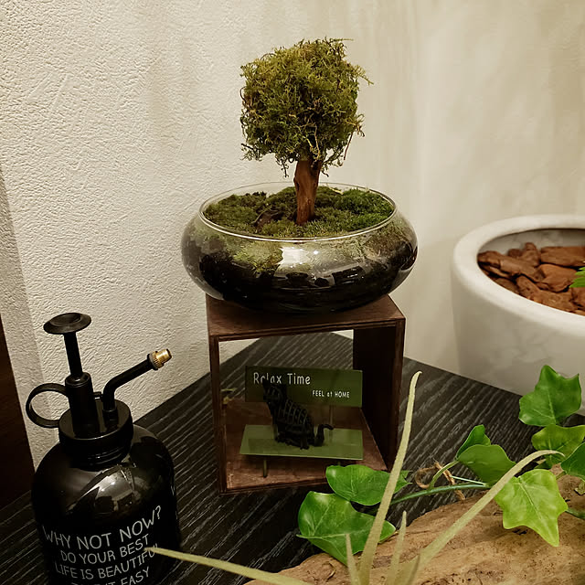 リビング/ハンドメイド/100均/雑貨/観葉植物...などのインテリア実例 - 2019-02-09 08:42:23