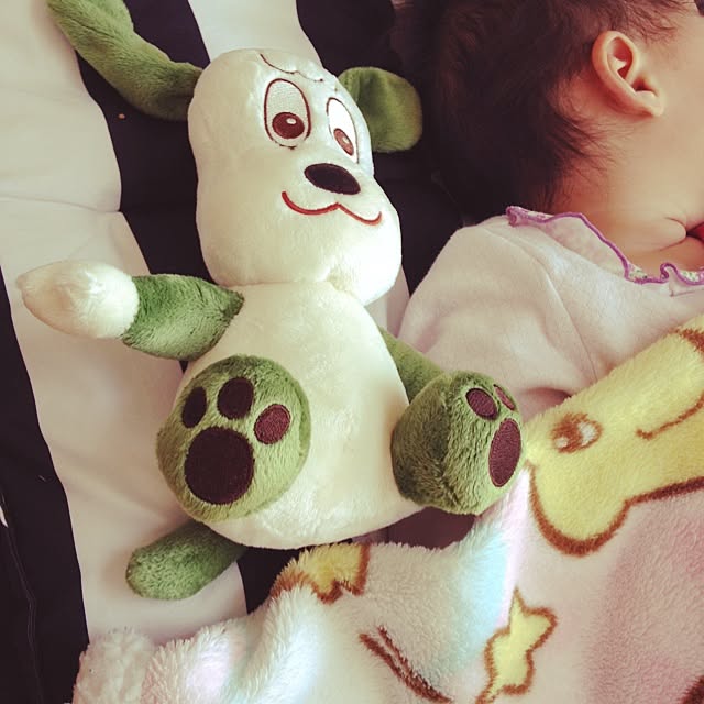 Camiuさんの実例写真