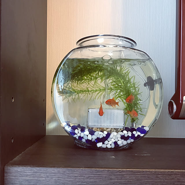 maimoさんの実例写真