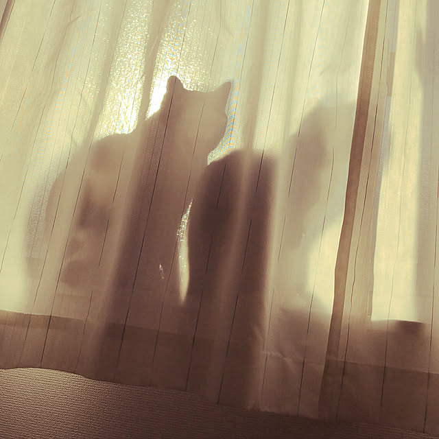 yukaさんの実例写真