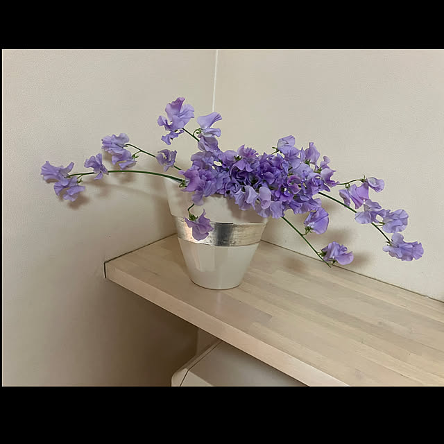 093さんの実例写真