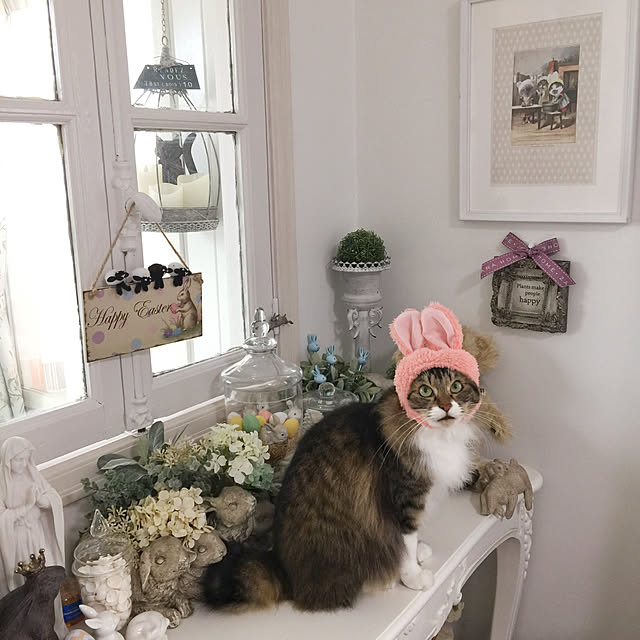 yuchiさんの実例写真