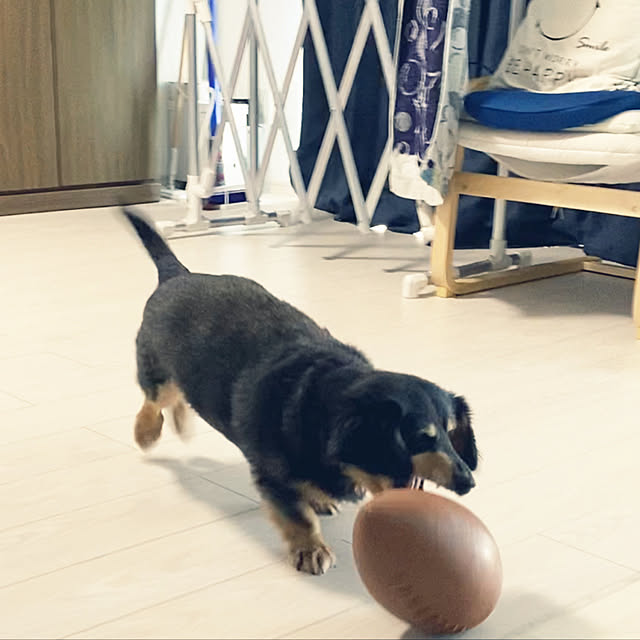 ohanaさんの実例写真