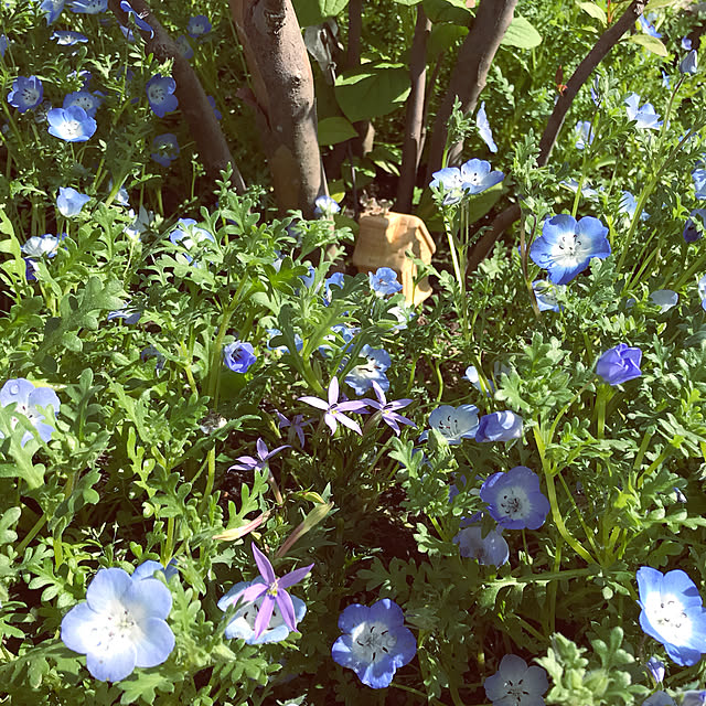 miyaさんの部屋