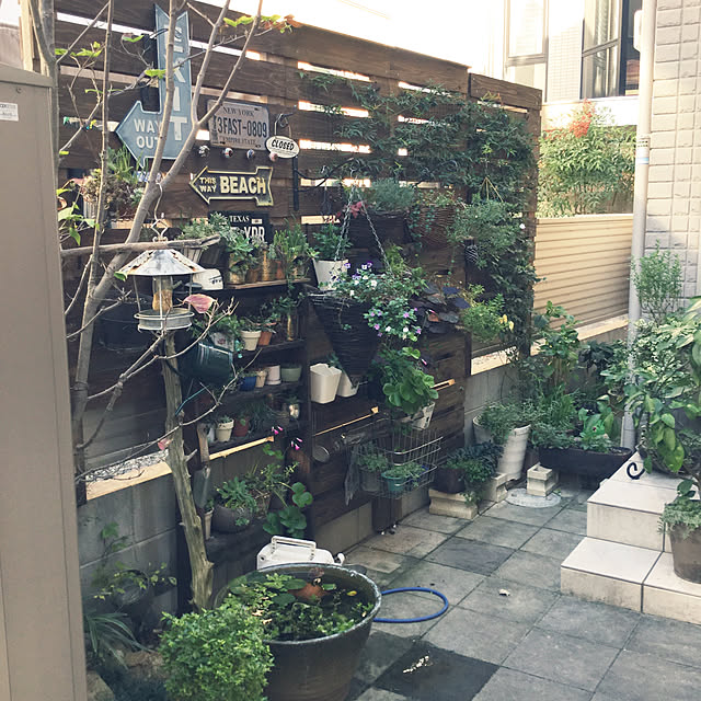 壁/天井のインテリア実例 - 2019-11-10 09:24:23
