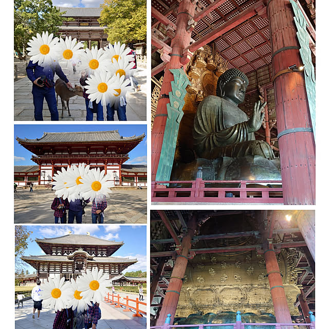 ToReTaRiさんの実例写真