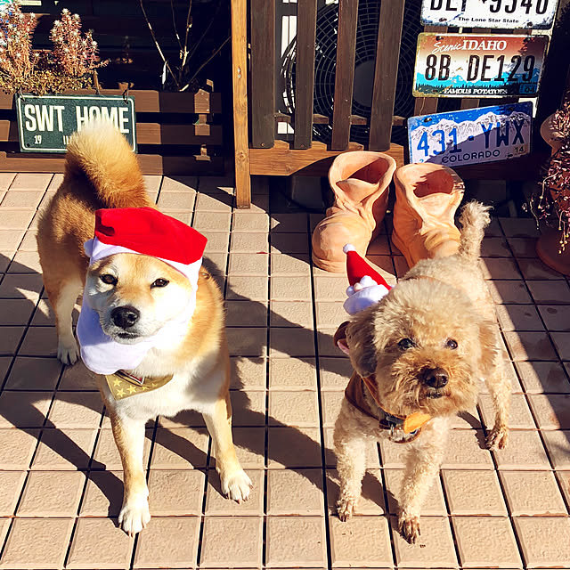 ronmaruさんの実例写真