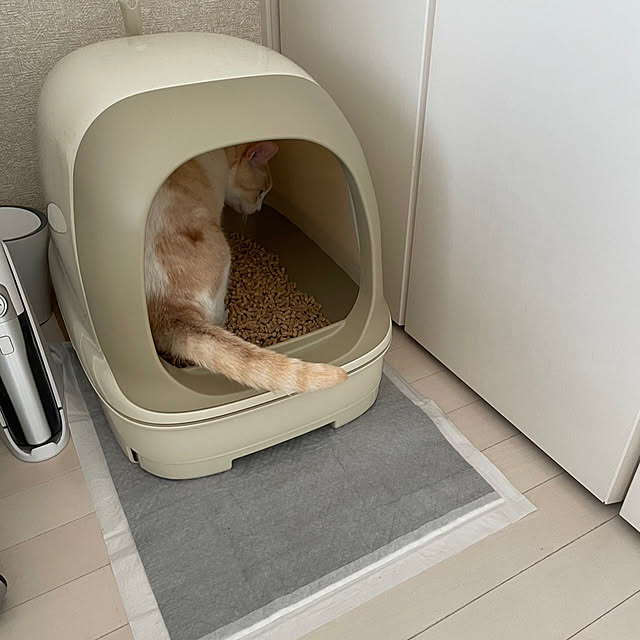 senahさんの実例写真