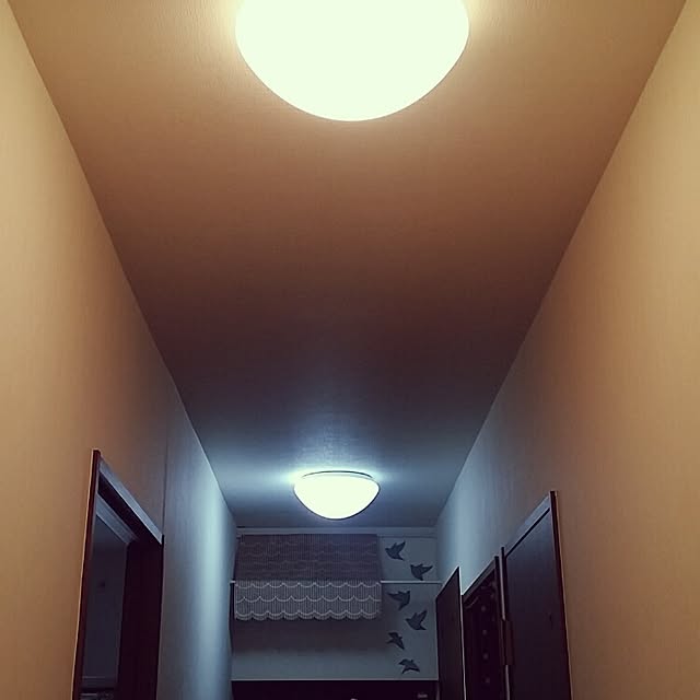 suzuさんの実例写真