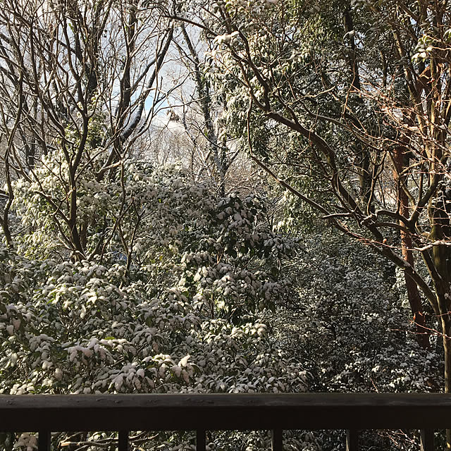 部屋全体/リノベーションのインテリア実例 - 2018-02-03 11:29:54