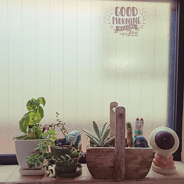 junkoさんの実例写真
