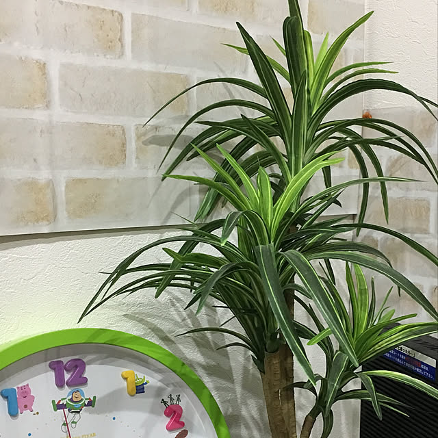 meruseさんの実例写真