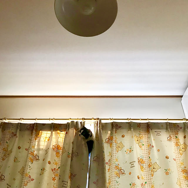 butachanさんの実例写真