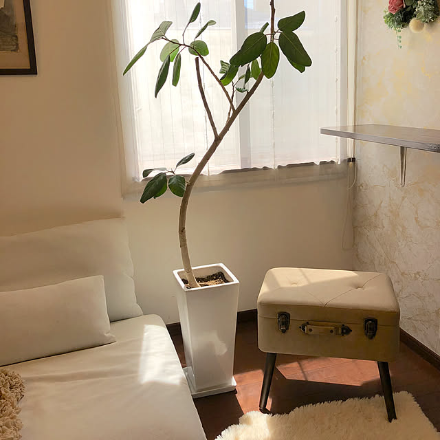 jasmineさんの実例写真