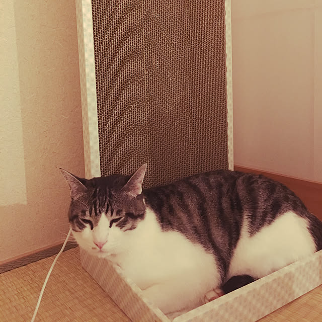 nomu2さんの実例写真