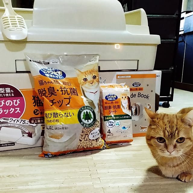 runaさんの実例写真