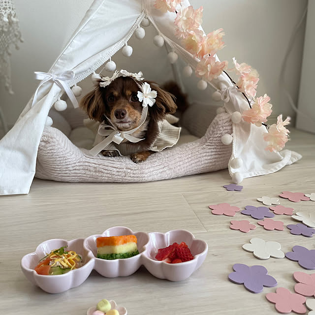 emiさんの実例写真
