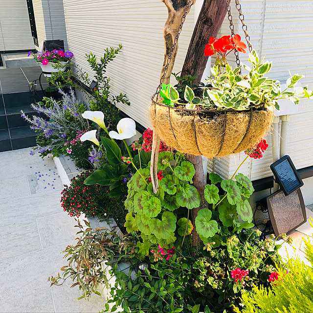 玄関/入り口のインテリア実例 - 2019-05-11 23:23:58