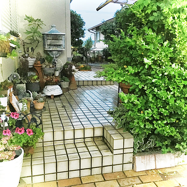 burgundy.roseさんの実例写真