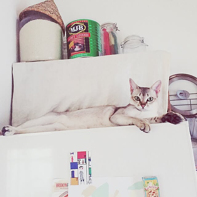 jaajjiさんの実例写真
