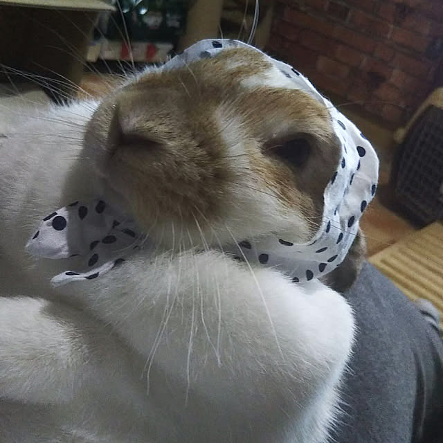 usamamaさんの実例写真