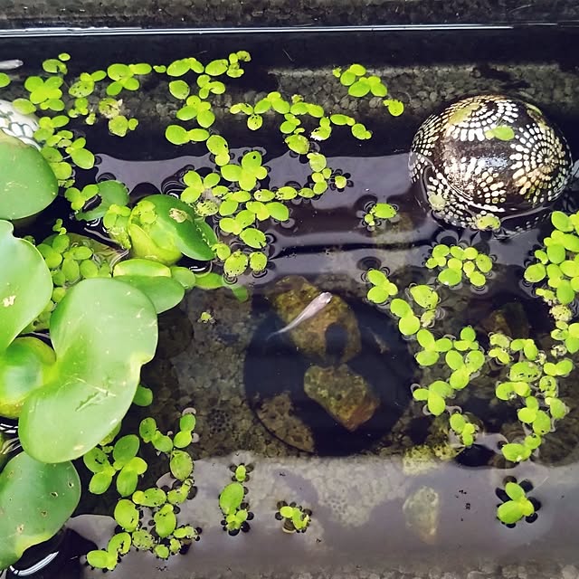 MIPORINNさんの部屋