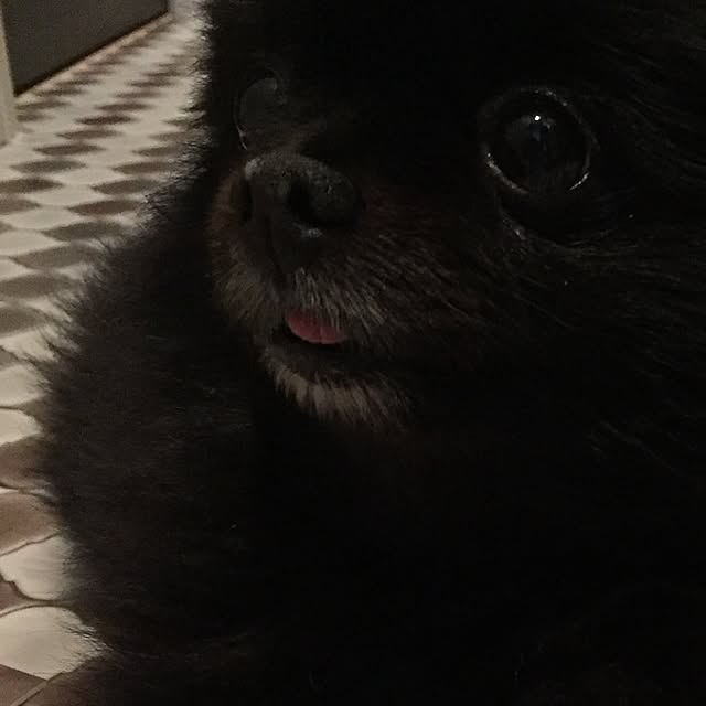 ohanaさんの実例写真