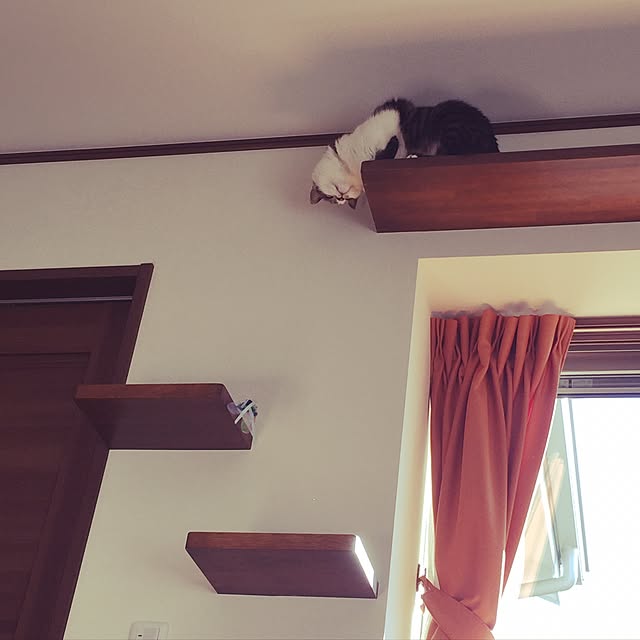 motimotinonikuさんの実例写真