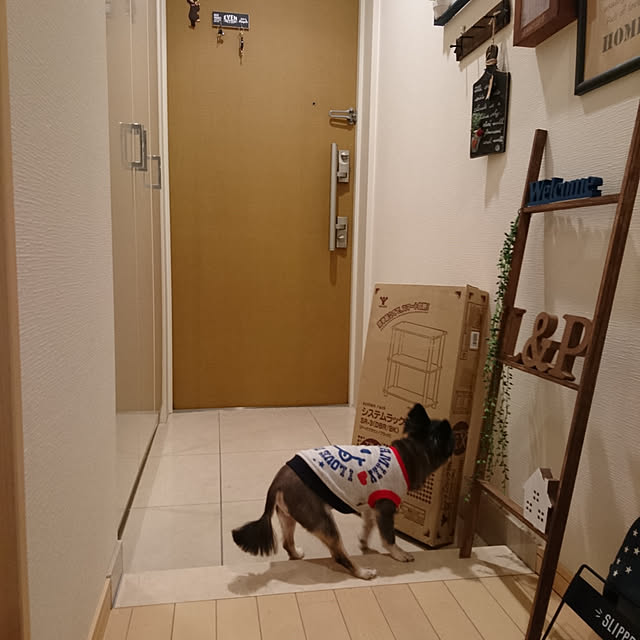 lovepeaceさんの実例写真