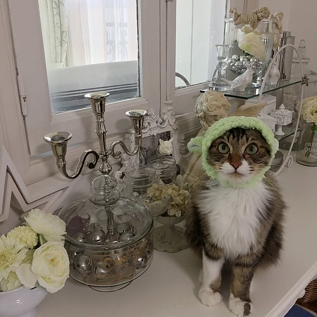 yuchiさんの実例写真
