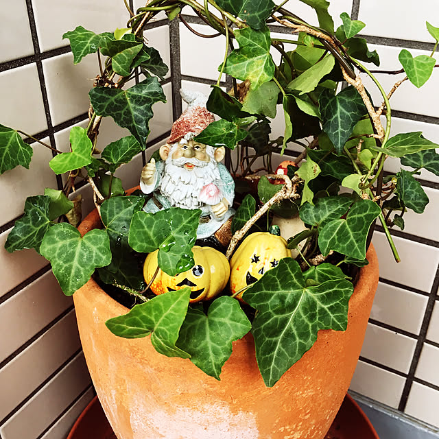 tsukushinboさんの実例写真