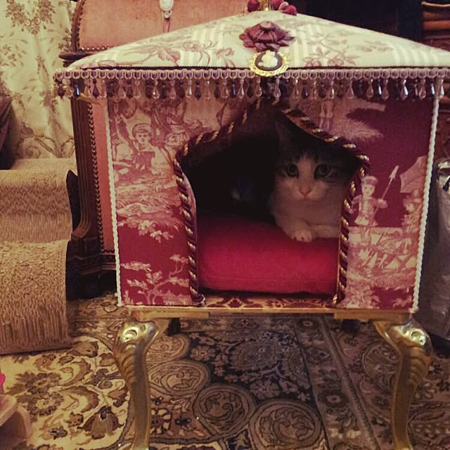 emmyyさんの実例写真