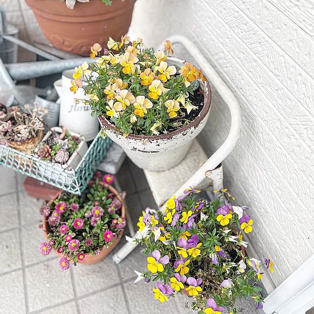 yokoさんの実例写真