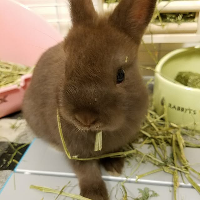 yuiさんの実例写真