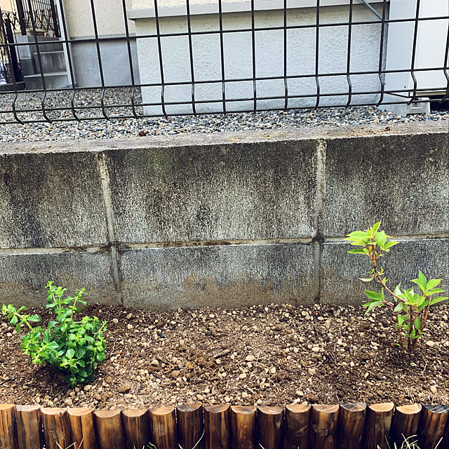 sayamamaさんの実例写真