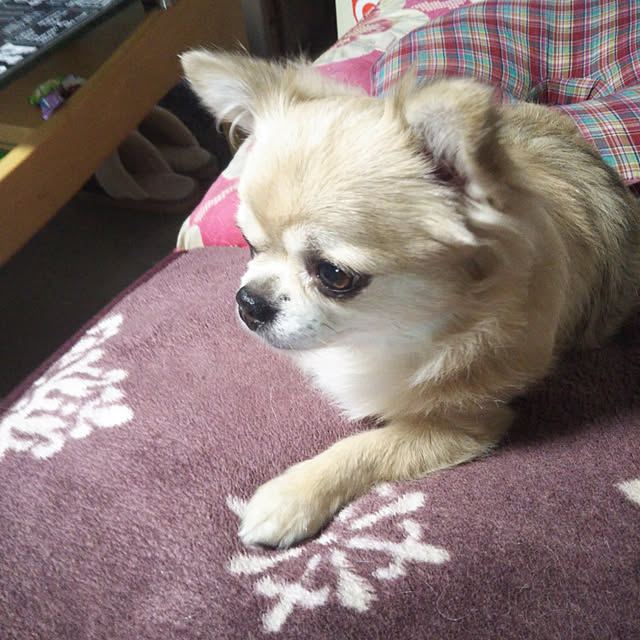 kiraさんの実例写真