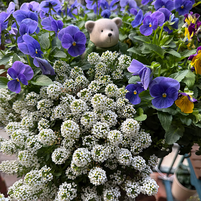 Aqettyさんの部屋