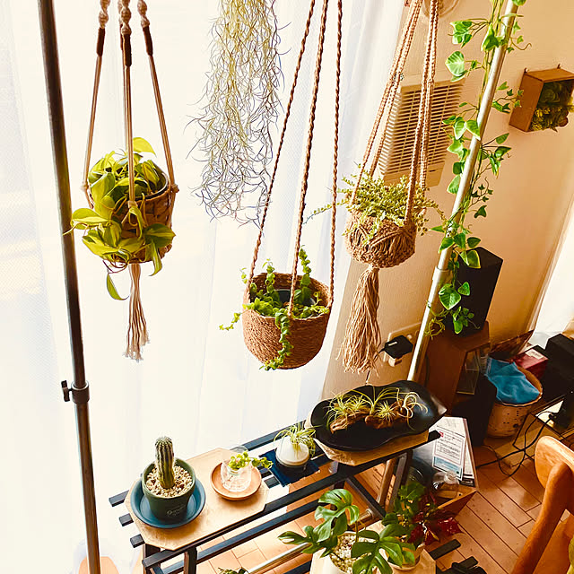 tockyさんの部屋