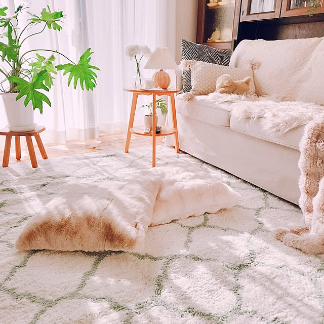 surviveさんの実例写真