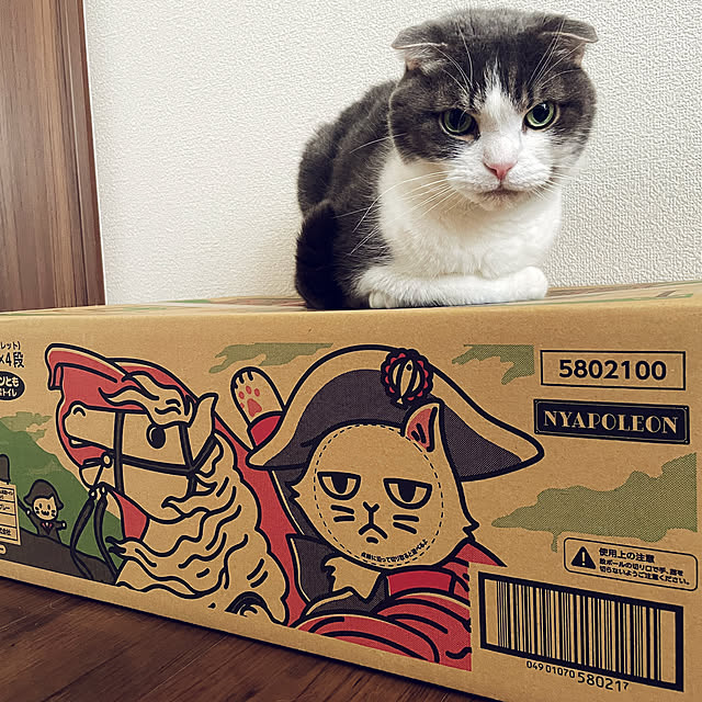tansukeさんの実例写真