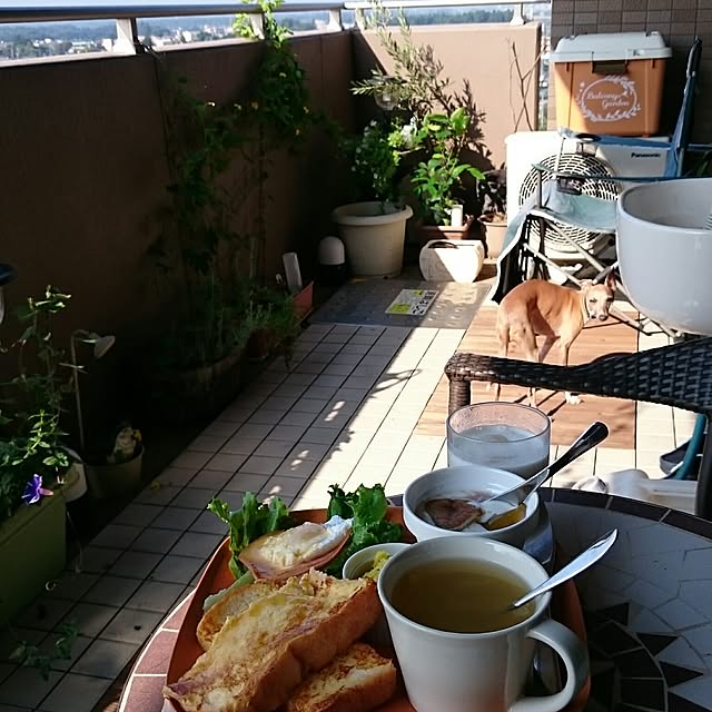 cavaさんの実例写真
