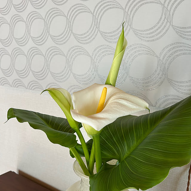 botanさんの部屋