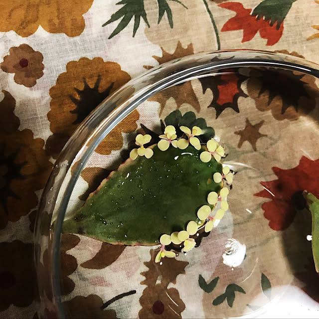 beautifulflowerさんの実例写真